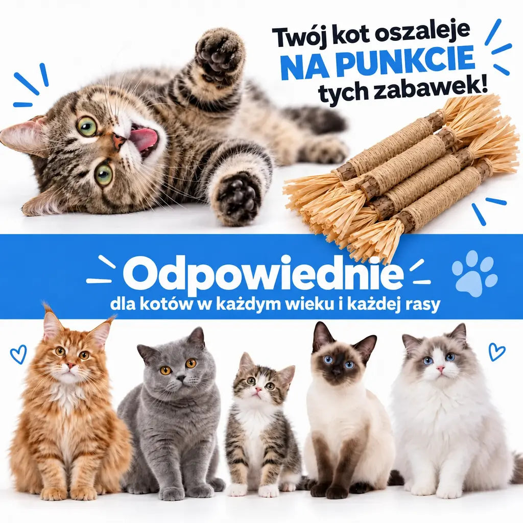 Vidatabi – Naturalne Patyczki Dentystyczne dla Kotów